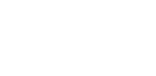 Voize logo